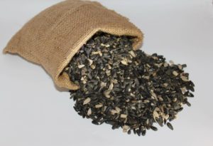 Black Oil Sunflower seed birdseed