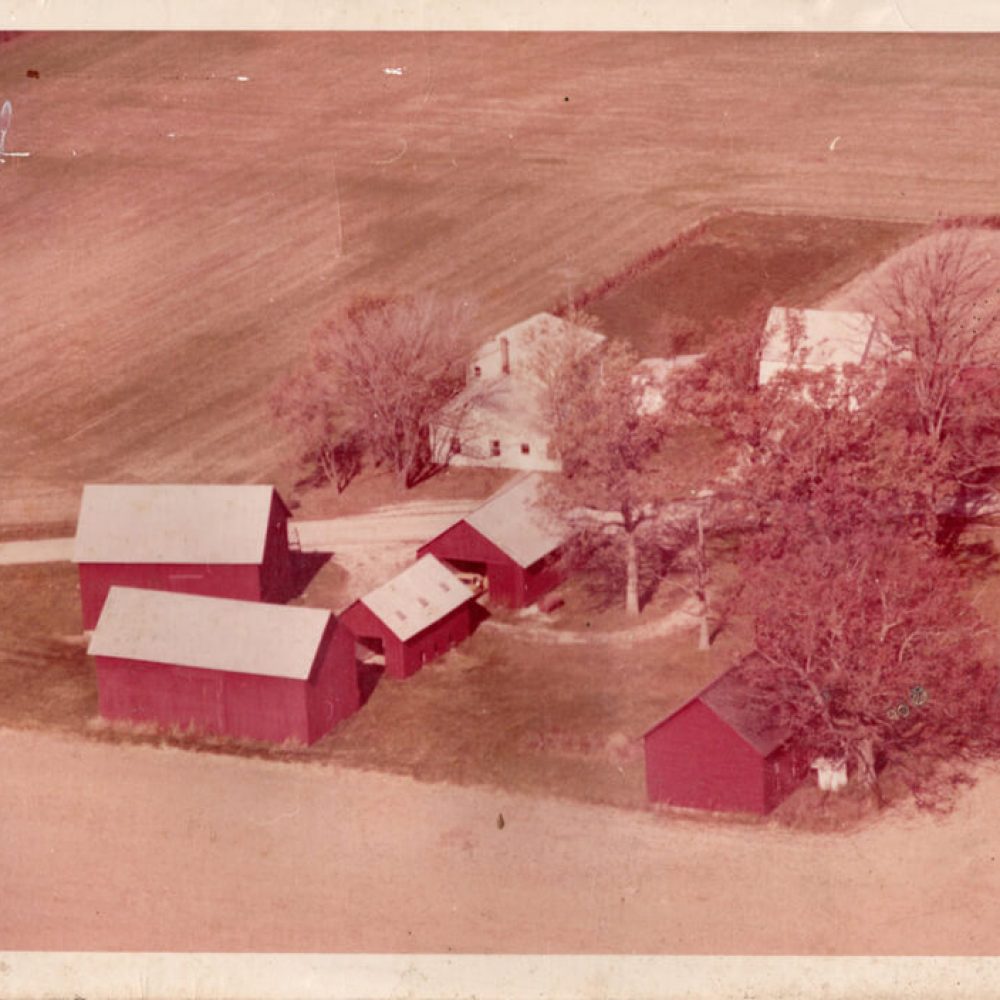 Schoolhouse Farms